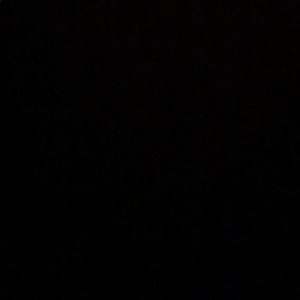 Meet your Posher, Layne